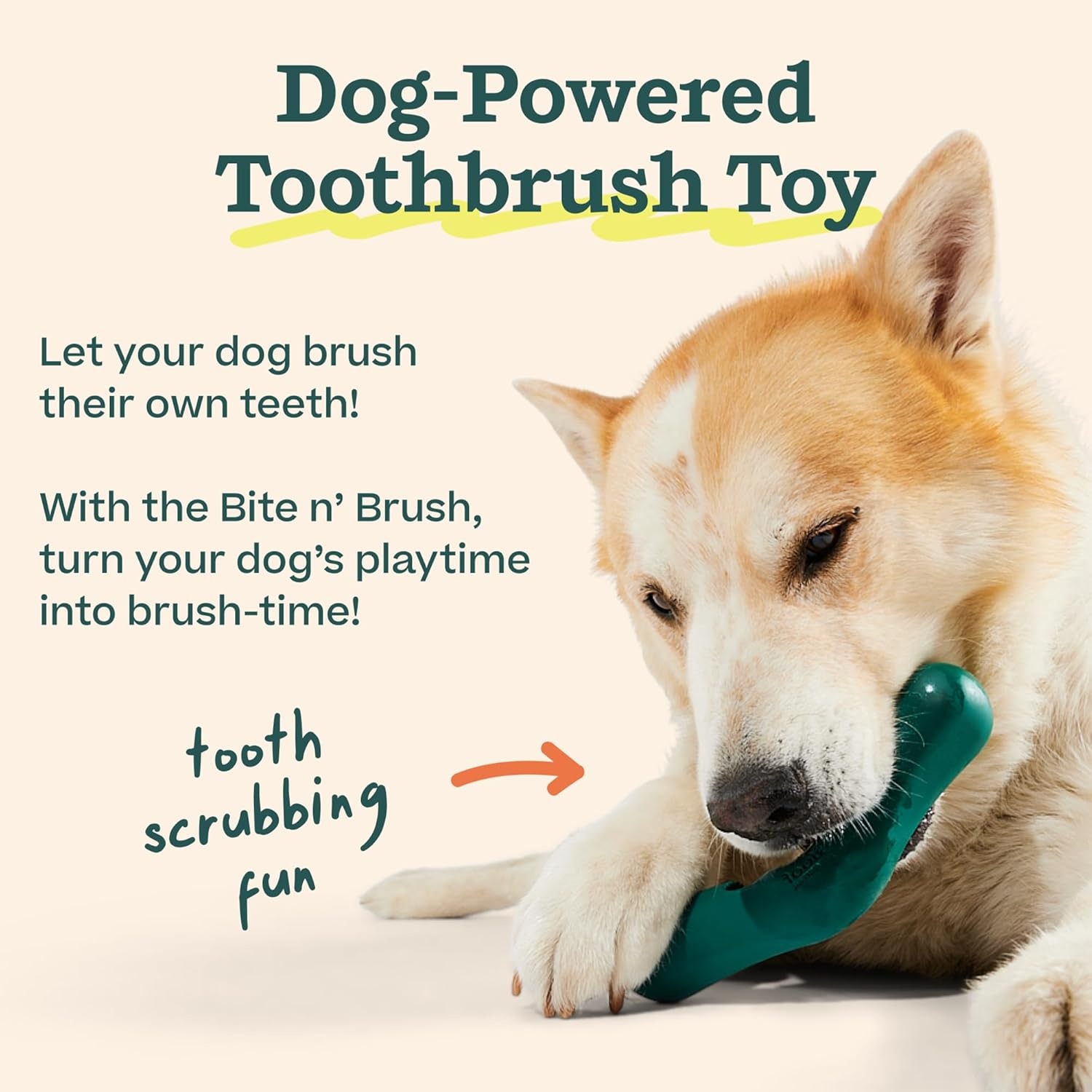 image:imageWOOF Bite n Brush Refills Treats for the Dog Toothbrush Toy Scrub Plaque and Tartar from Your Dogs Teeth and Mouth Dog Dental Sticks 18 Refills Chicken2 Pack Beef