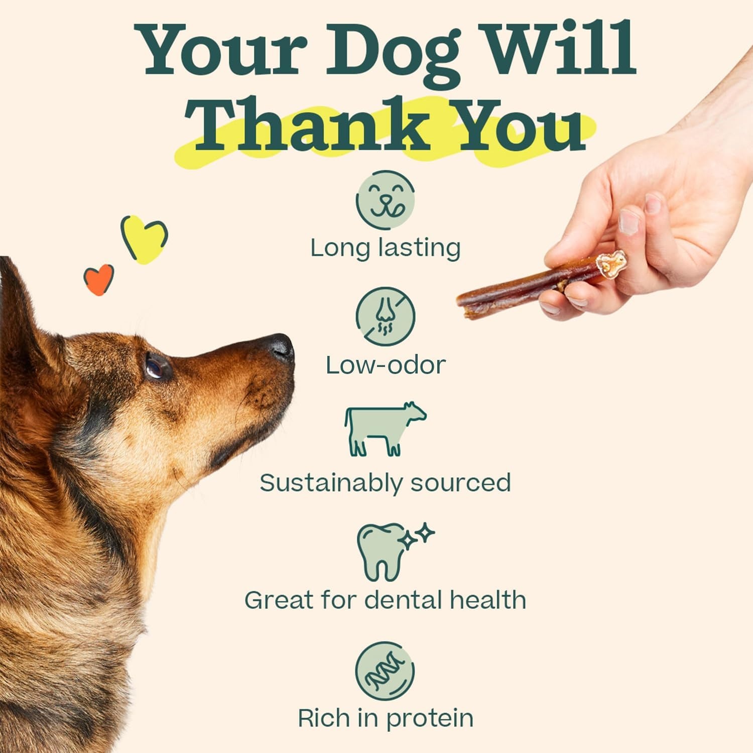 image:imageWOOF Bully Sticks Dog Treats Chew Sticks for Dogs LongLasting Dog Chew Treats Made with FreeRange GrassFed Beef 6 Sticks 5pk6 Inch Pack of 10
