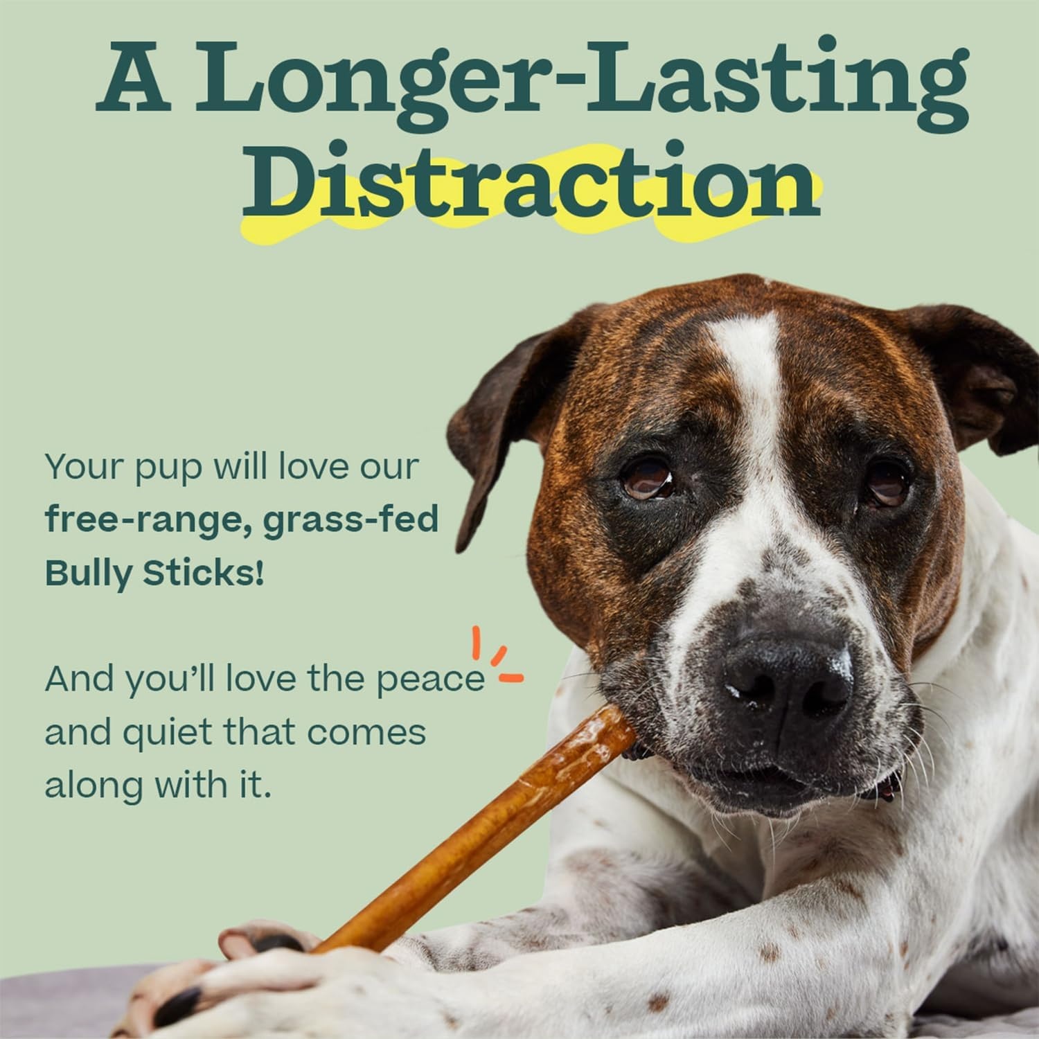 image:imageWOOF Bully Sticks Dog Treats Chew Sticks for Dogs LongLasting Dog Chew Treats Made with FreeRange GrassFed Beef 6 Sticks 5pk6 Inch Pack of 25