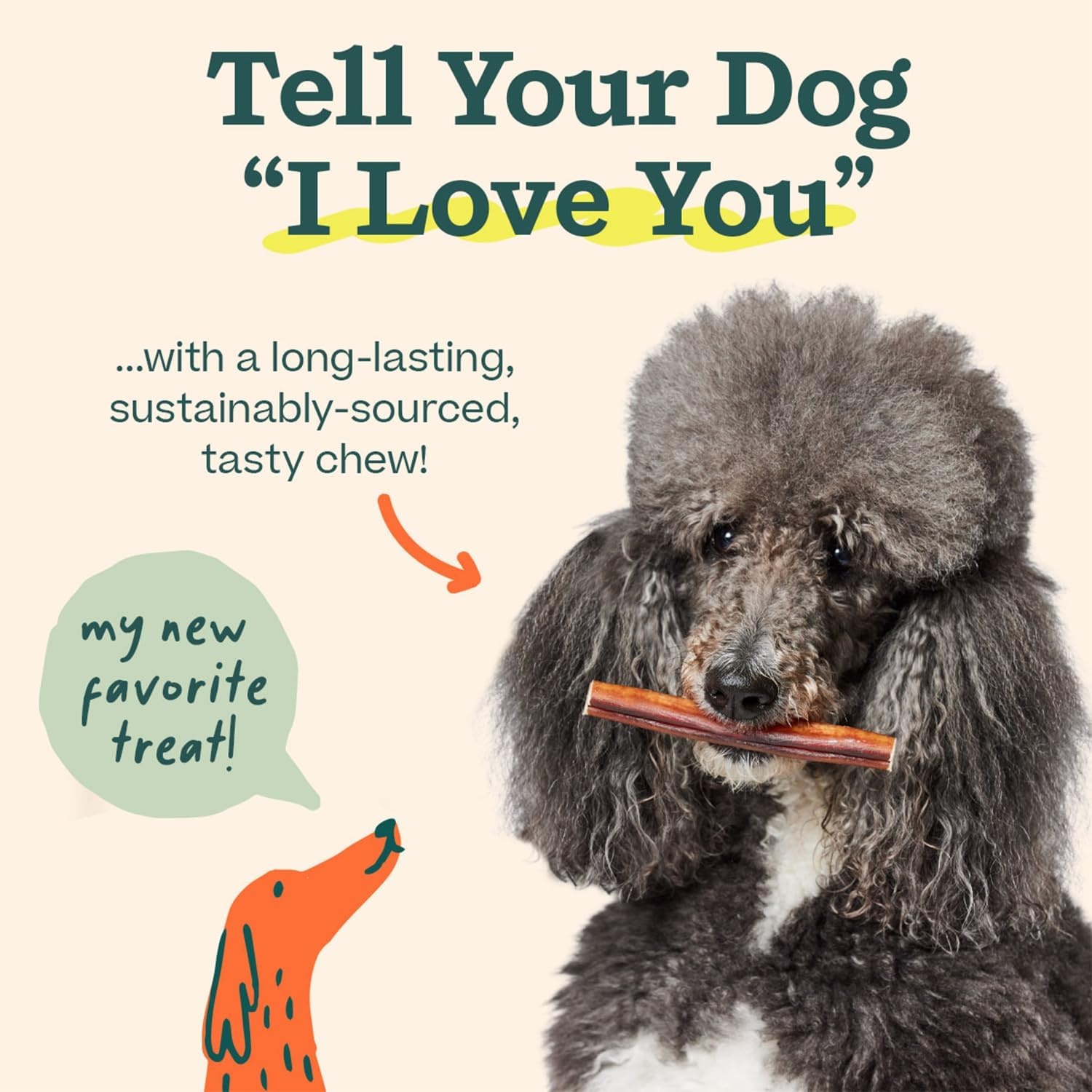 image:imageWOOF Bully Sticks Dog Treats Chew Sticks for Dogs LongLasting Dog Chew Treats Made with FreeRange GrassFed Beef 6 Sticks 5pk6 Inch Pack of 5