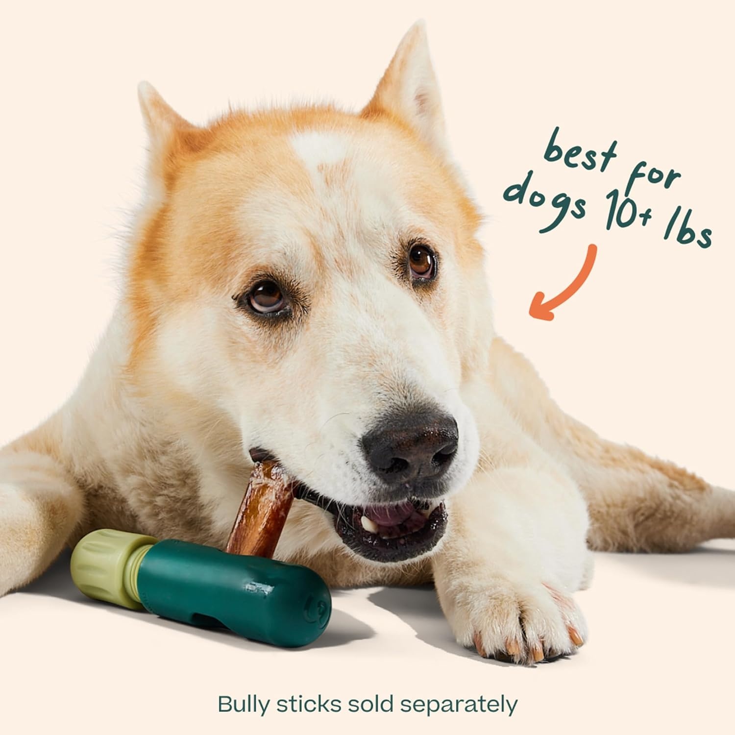 image:imageWOOF BullySafe Bully Stick Holder Durable Dog Chew Holder for Safe LongLasting Play Easy to Clean No More Swallowed Ends for Dogs 10 lbs