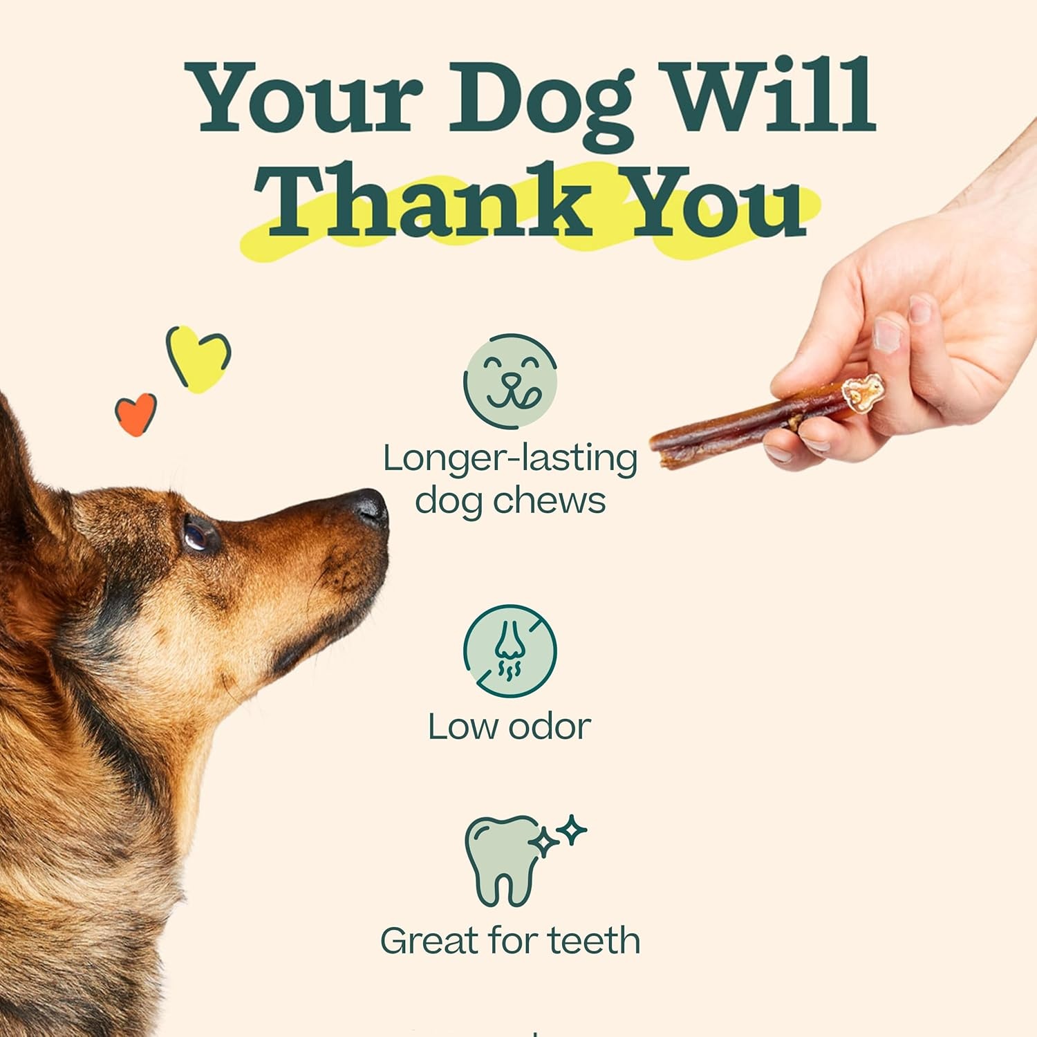 image:imageWOOF BullySafe and Bully Sticks Nutritious Chew Sticks for Dogs and Bully Stick Holder for Safe LongLasting Play No More Swallowed Ends 6 Sticks 5 Pack10 Count Pack of 1