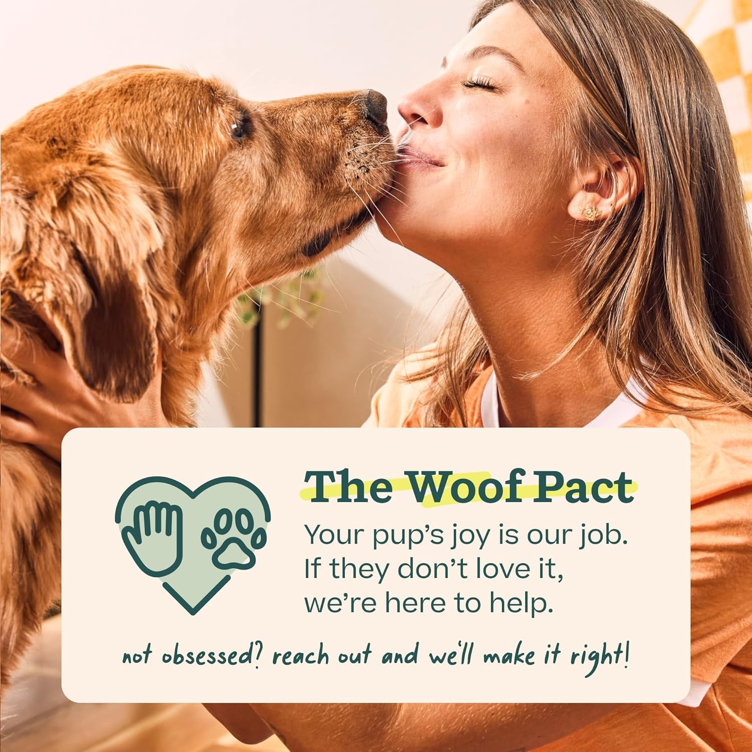 image:imageWOOF BullySafe and Bully Sticks Nutritious Chew Sticks for Dogs and Bully Stick Holder for Safe LongLasting Play No More Swallowed Ends 6 Sticks 5 Pack10 Count Pack of 1