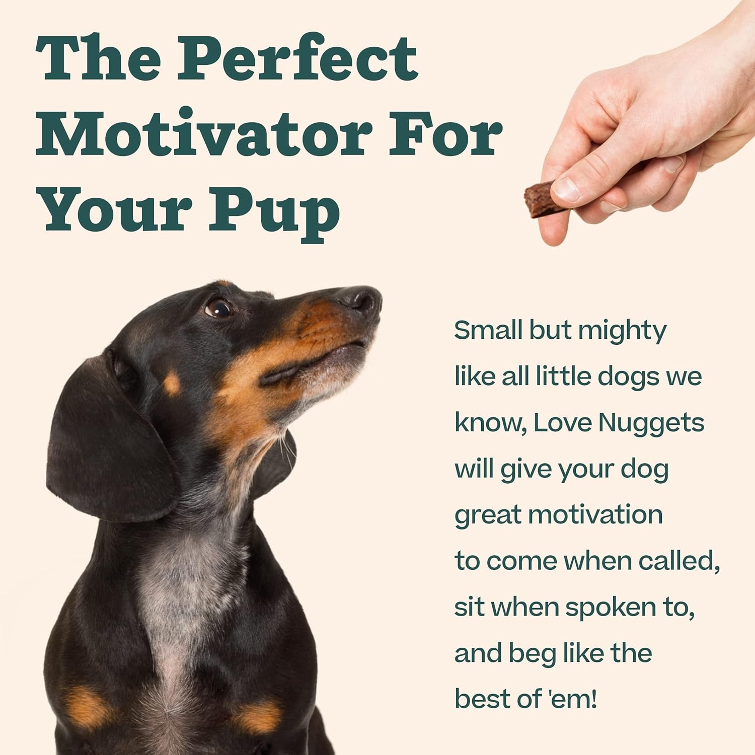 image:imageWOOF Love Nuggets Made in the USA Dog Treats for Training Jerky for Dogs BiteSized Beef Training Treats