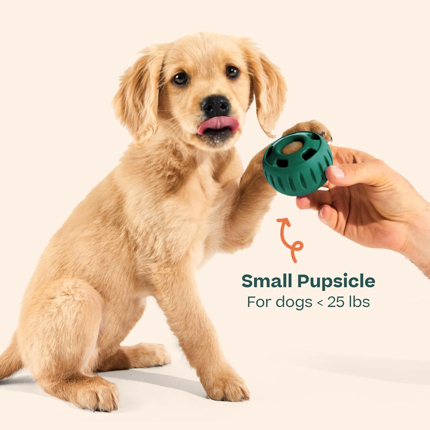 image:imageWOOF Pupsicle LongLasting Interactive Dog Ball Toy to Keep Your Pup Busy and Distracted Safe for Dogs LowMess Design Dog Toys for Small Dogs 1025 lbsGreen