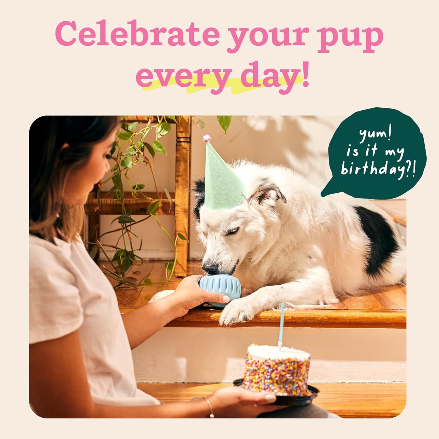 image:imageWOOF Pupsicle LongLasting Interactive Dog Ball Toy to Keep Your Pup Busy and Distracted Safe for Dogs LowMess Design Dog Toys for Small Dogs 1025 lbsBlue