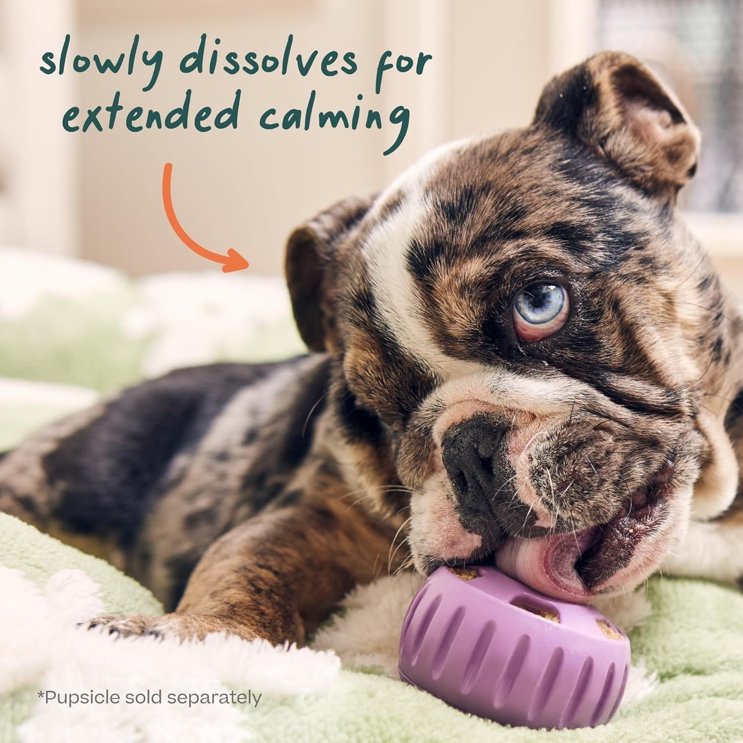 image:imageWOOF Pupsicle Refill Pops for Calming LongLasting Refills for the Pupsicle Toy to Promote Calm Calming Dog Treats Magnesium for Dogs Small Pops 10 CountXLarge 15 Count
