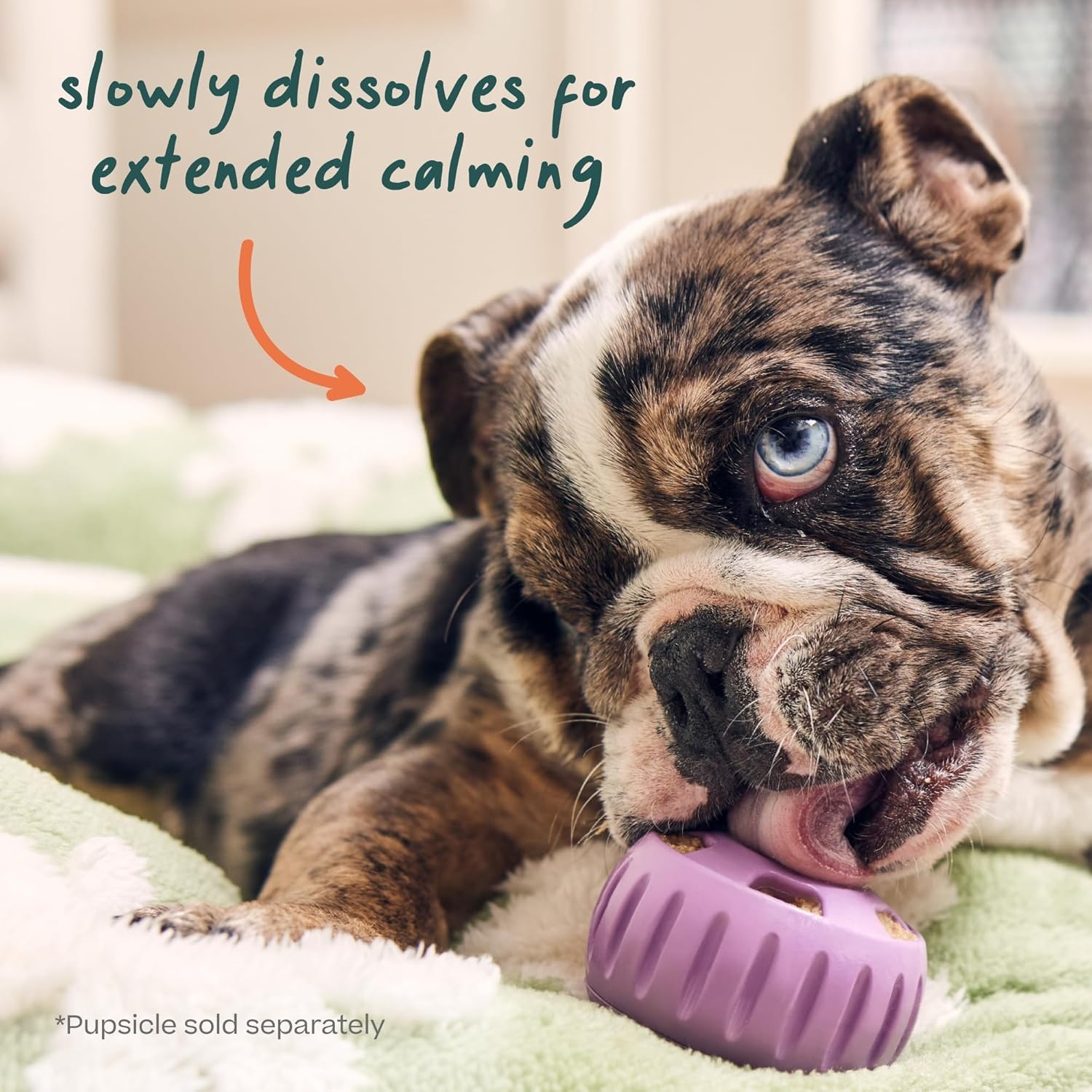 image:imageWOOF Pupsicle Refill Pops for Calming LongLasting Refills for the Pupsicle Toy to Promote Calm Calming Dog Treats Magnesium for Dogs Small Pops 10 CountXLarge 10 Count