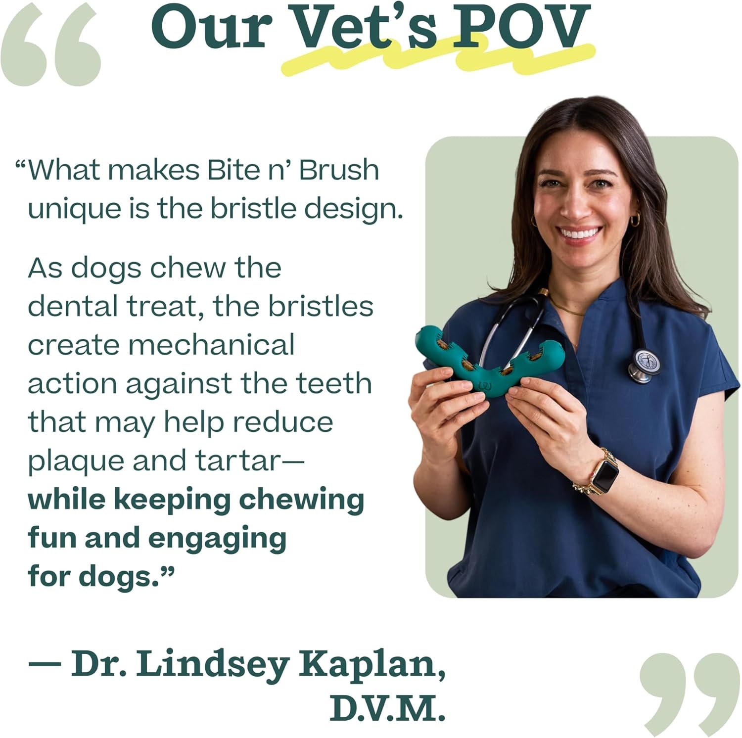 image:imageWOOF The Bite n Brush Dog Toothbrush Toy Scrub Plaque and Tartar from Your Dogs Teeth and Mouth Dog Dental Chew Toy SmallLarge
