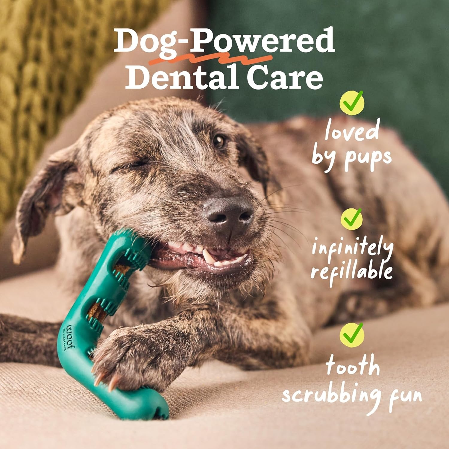 image:imageWOOF The Bite n Brush Dog Toothbrush Toy Scrub Plaque and Tartar from Your Dogs Teeth and Mouth Dog Dental Chew Toy SmallSmall