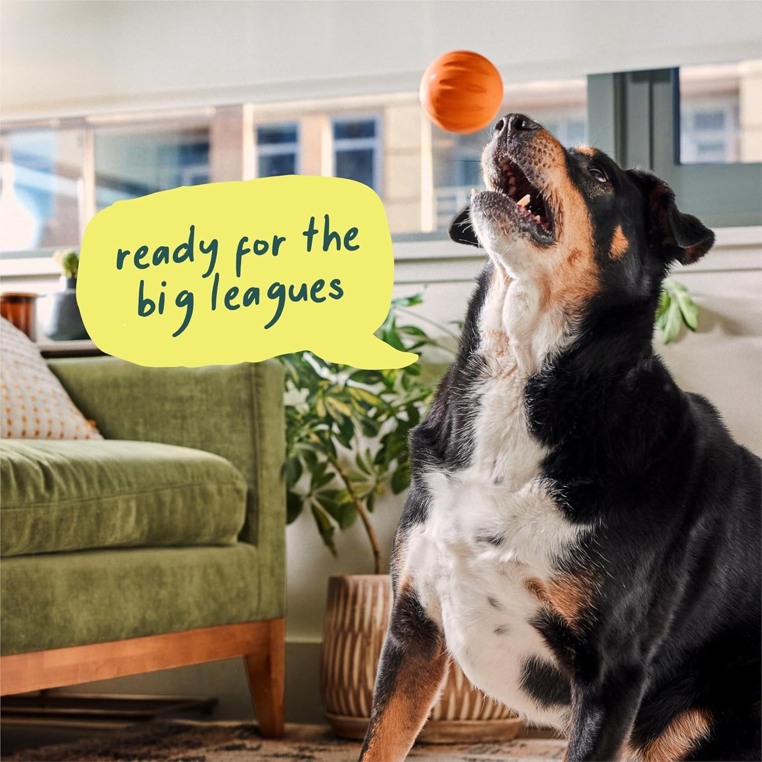 image:imageWOOF Flyball 2in1 Fetch Ball and Dog Treat Dispenser Toy Interactive Puzzle for Enrichment Fits Standard Ball Launchers Durable ToothFriendly Rubber The Perfect Dog Gift 3 Pack3PK Lavender Orange Yellow