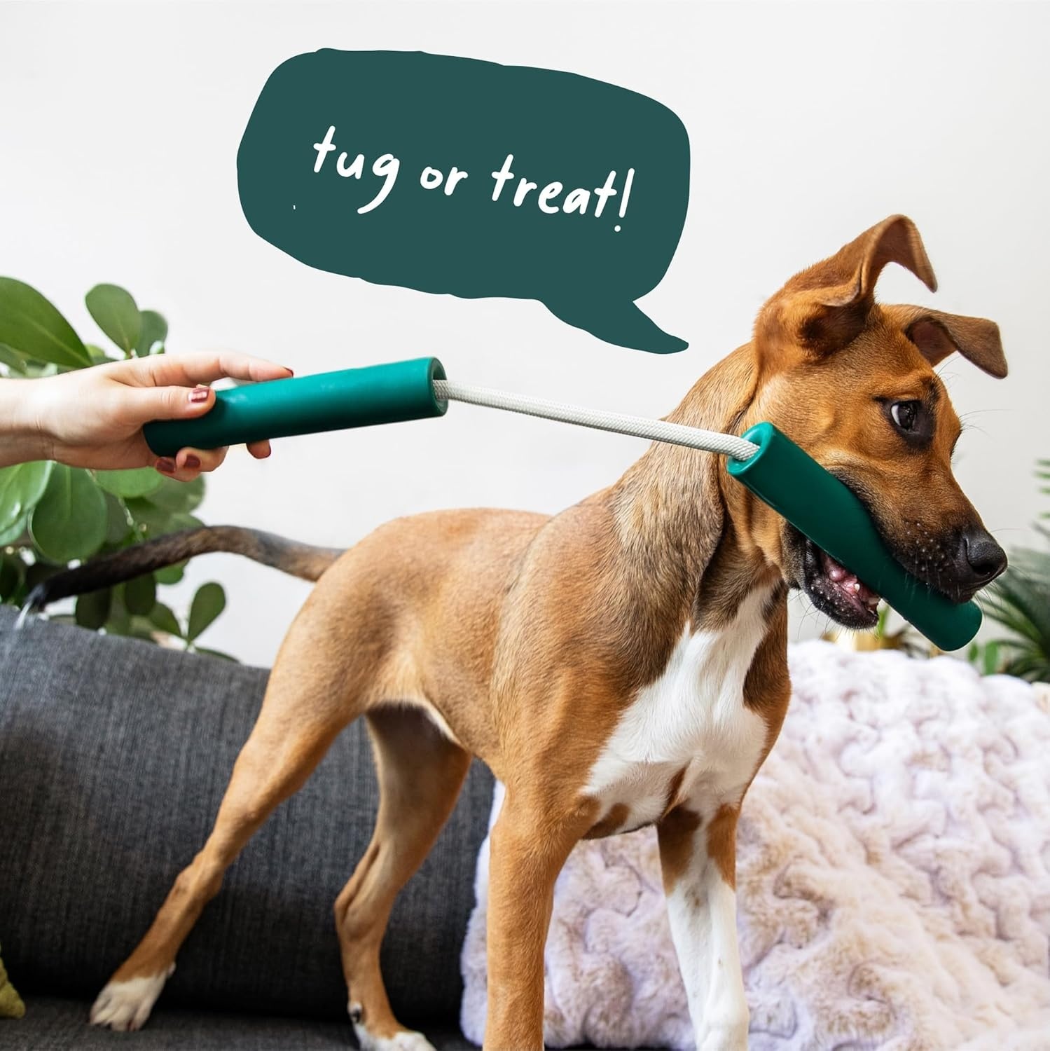 image:imageWOOF Nomchucks Dual Puzzle Feeder Enrichment Dog Toy and Tug Toy with 3 Interactive Zones Designed with LongLasting Nylon Rope and Natural Rubber Pairs Puzzle Treats