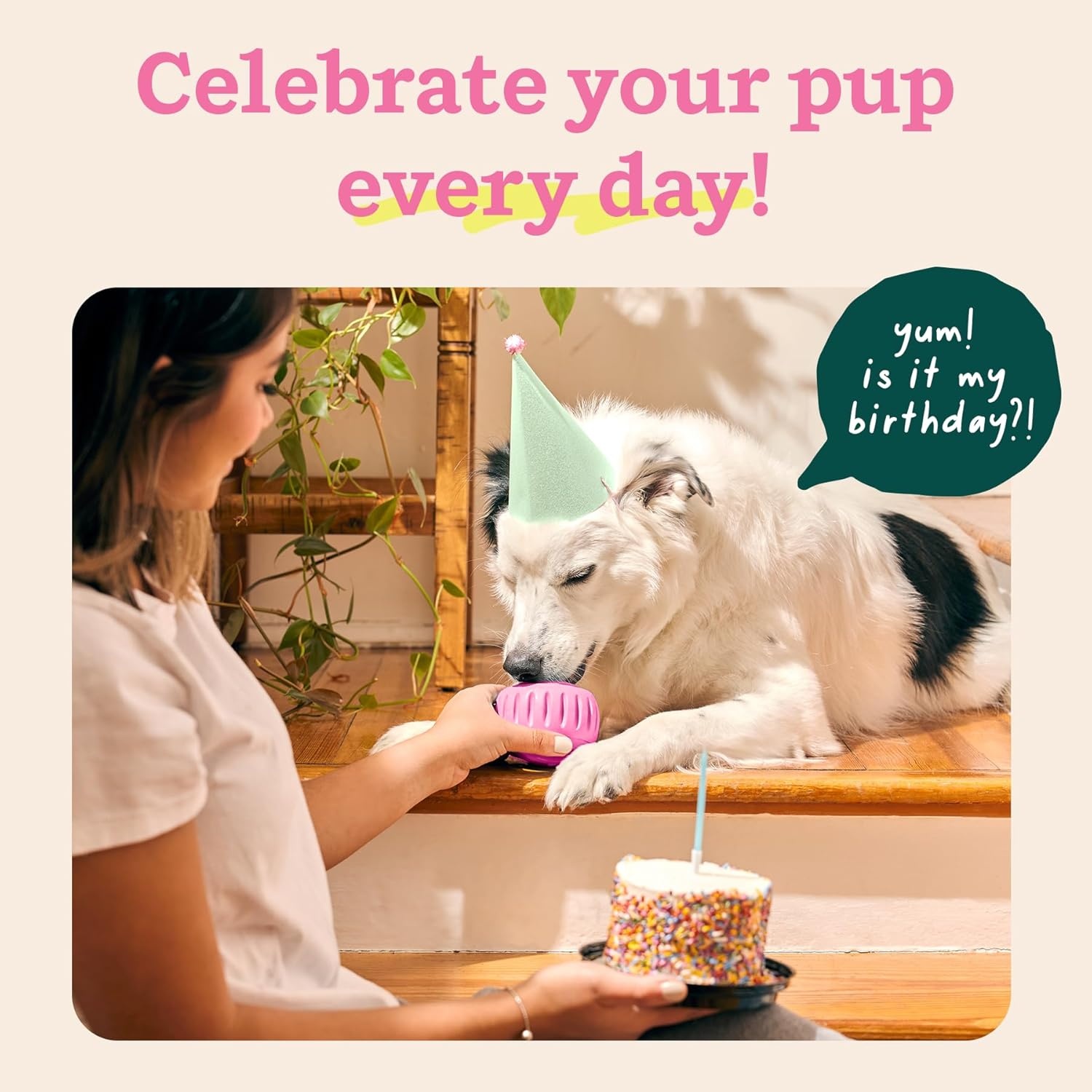 image:imageWOOF Pupsicle LongLasting Interactive Dog Ball Toy to Keep Your Pup Busy and Distracted Safe for Dogs LowMess Design Dog Toys for Extra Large Dogs 75 lbs July 4th EditionPink